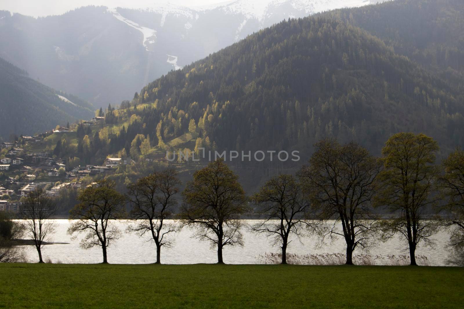 Landscape showing Zell Am See lake, some trees and mountains in a sunny day