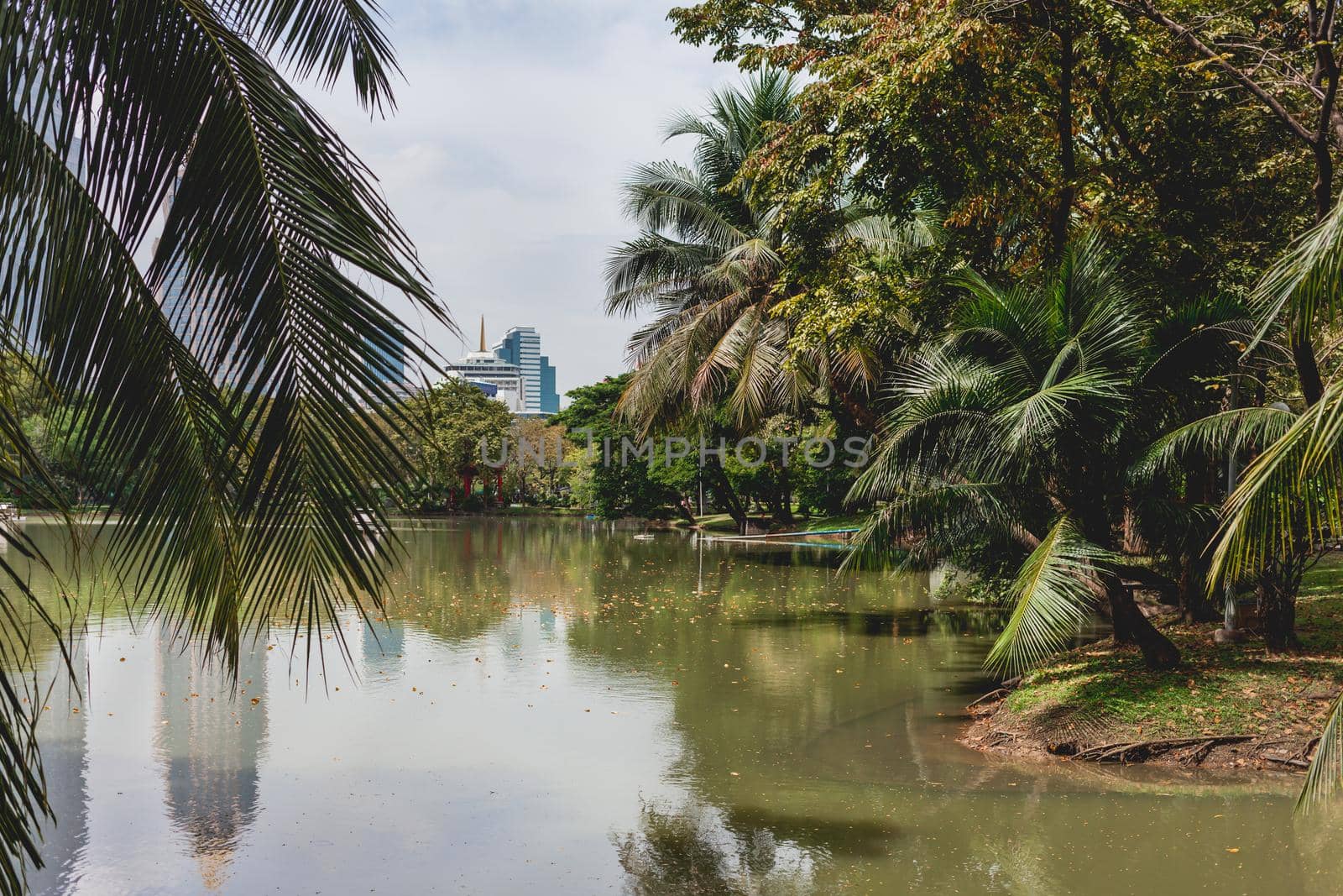 BANGKOK, THAILAND - October 23, 2012. Downtown skyscrapers over pond in Lumpini park. Daylight view over pond in recreation park. by aksenovko
