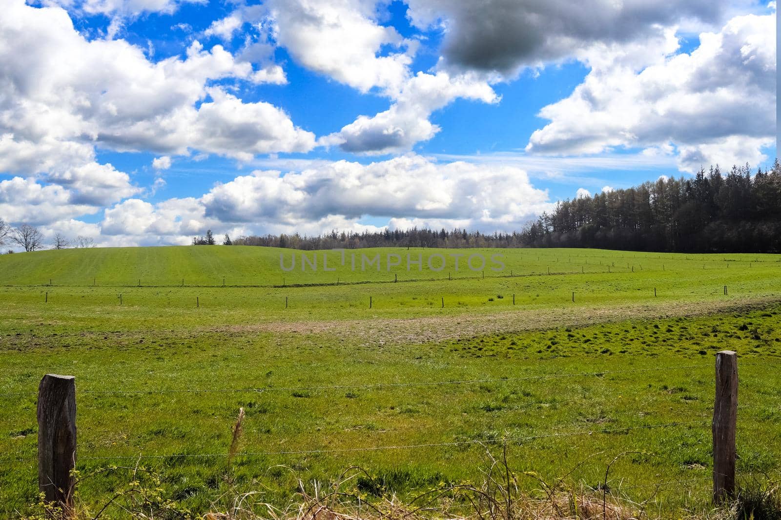 Panorama of a northern european country landscape with fields and green grass.
