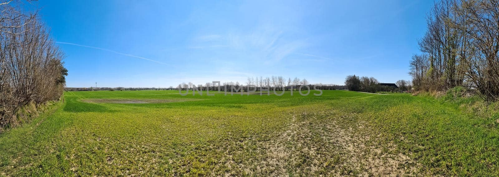 Panorama of a northern european country landscape with fields and green grass. by MP_foto71