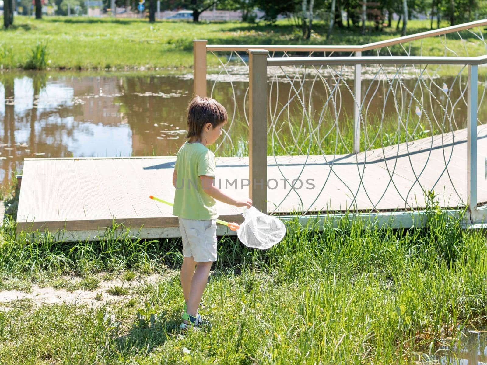 Curious kid walks outdoors with butterfly net. Summer leisure activity for children. Insect hunting. by aksenovko