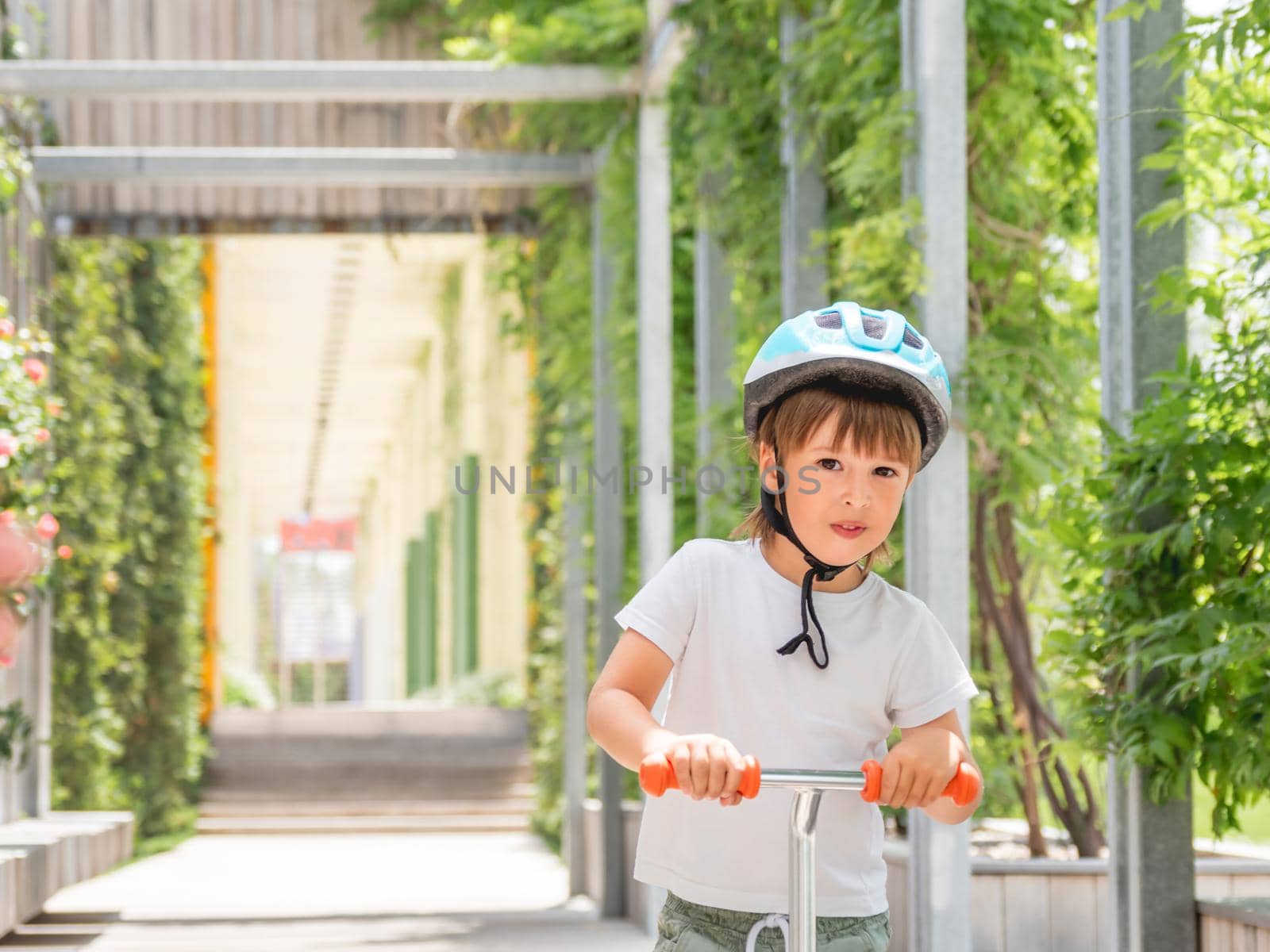 Little boy rides kick scooter in skate park. Portrait of kid in helmet on green leaves background. Training to skate at summer. by aksenovko