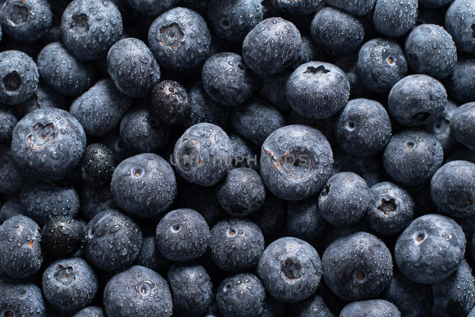 big box with scattered fresh blueberries, fresh raw food, natural healthy food,texture of fresh berries, background, High quality photo