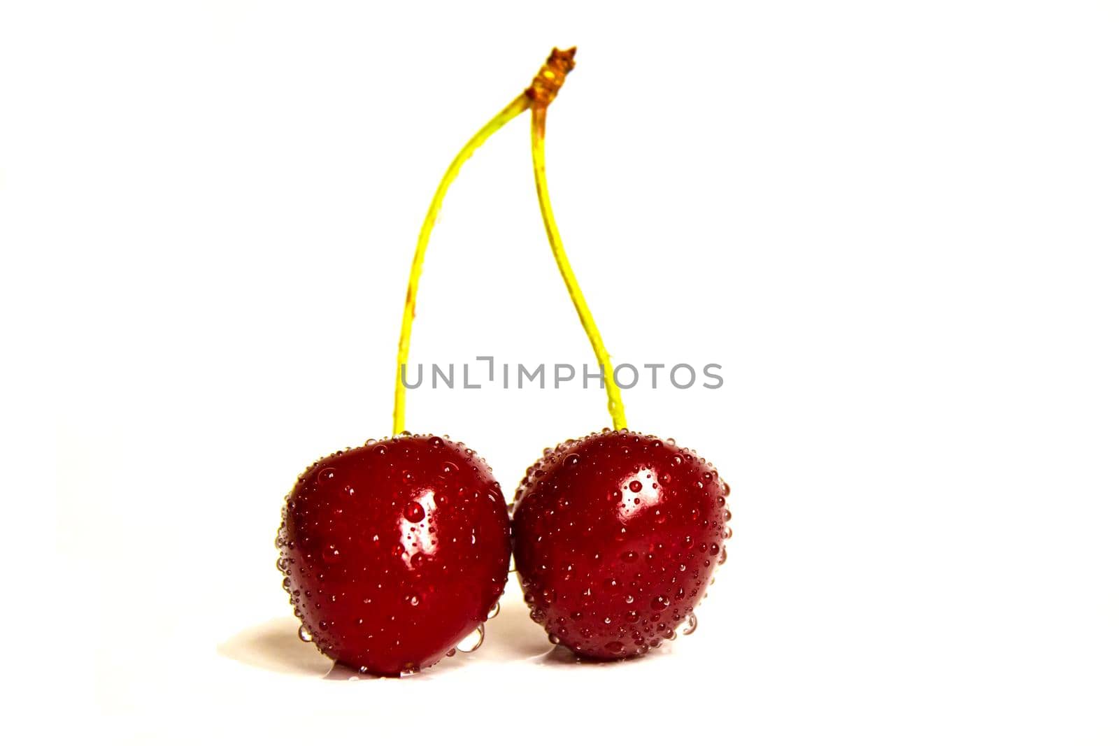 Cherries isolate on a white background.Selective focus. Nature