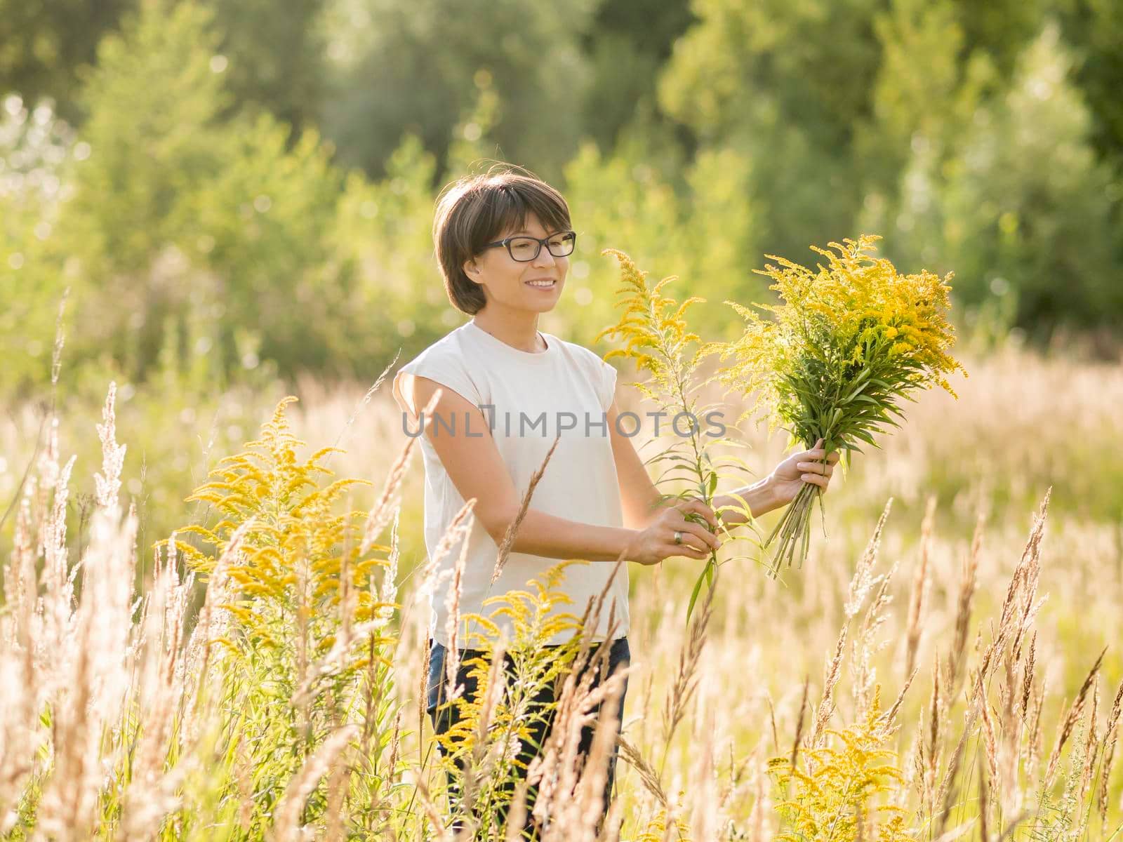 Woman is picking Solidago, commonly called goldenrods, on autumn field. Florist at work. Using yellow flowers as decorative bouquet for home interior.