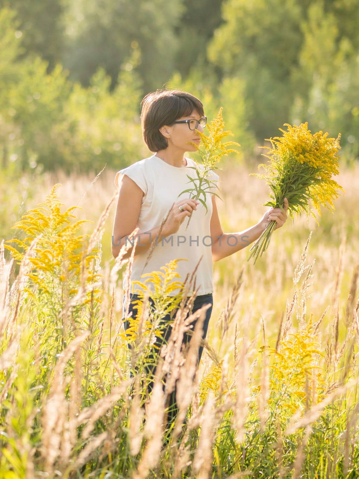Woman is picking Solidago, commonly called goldenrods, on autumn field. Florist at work. Using yellow flowers as decorative bouquet for home interior. by aksenovko