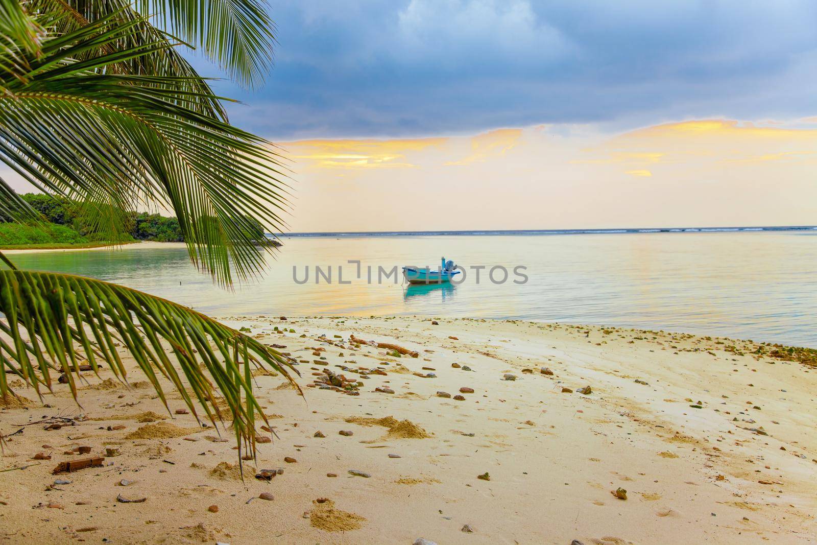 Maldivian Sunset Sea View with Boat and Palm Leaves by kisika
