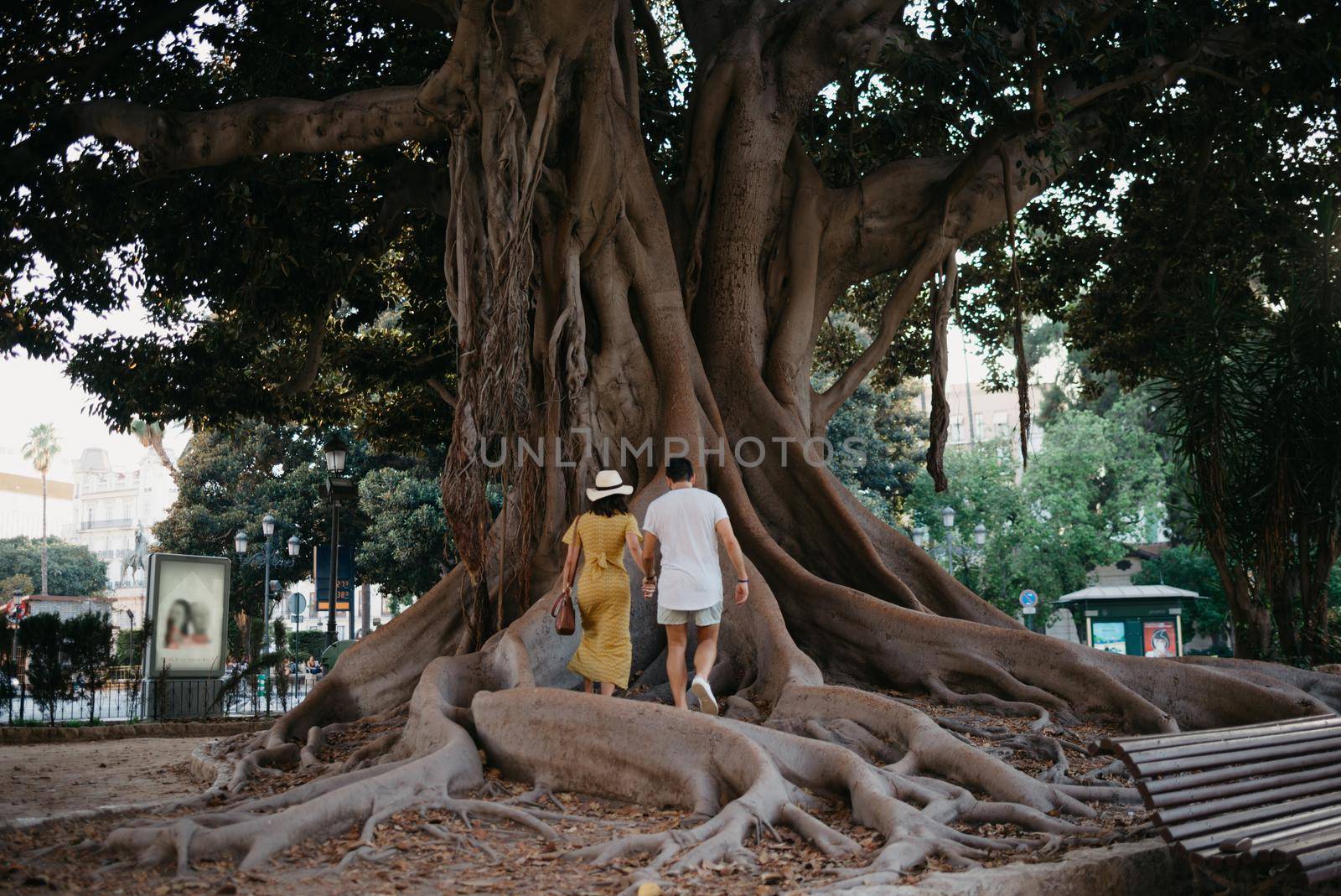 A young woman wears a hat and a yellow dress with her boyfriend go to an old Valencian Ficus Macrophylla tree in Spain. A couple of tourists are exploring Valencia in the evening.