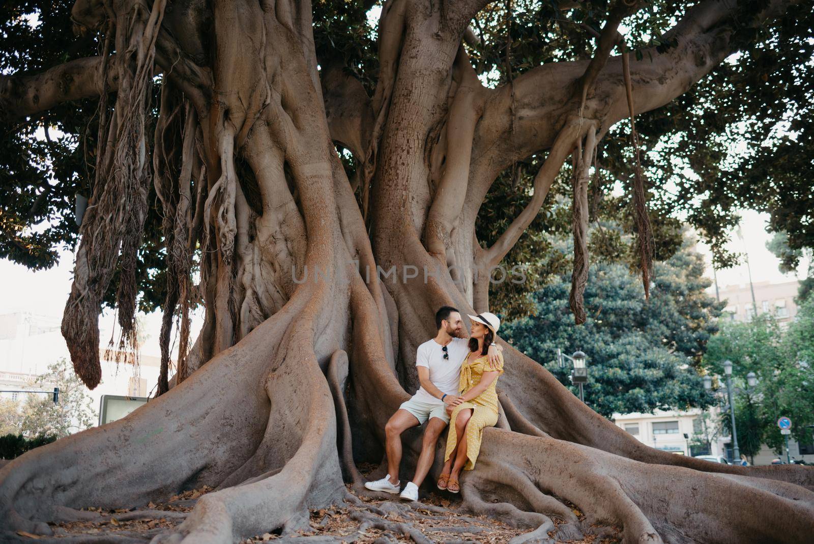 A young woman in a hat and a yellow dress and her boyfriend with a beard hug sitting on a root of an old Valencian Ficus Macrophylla in Spain. A couple of tourists are enjoying Valencia in the evening