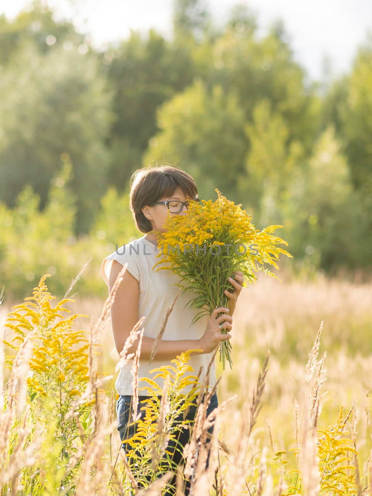 Woman is picking Solidago, commonly called goldenrods, on autumn field. Florist at work. Using yellow flowers as decorative bouquet for home interior. by aksenovko