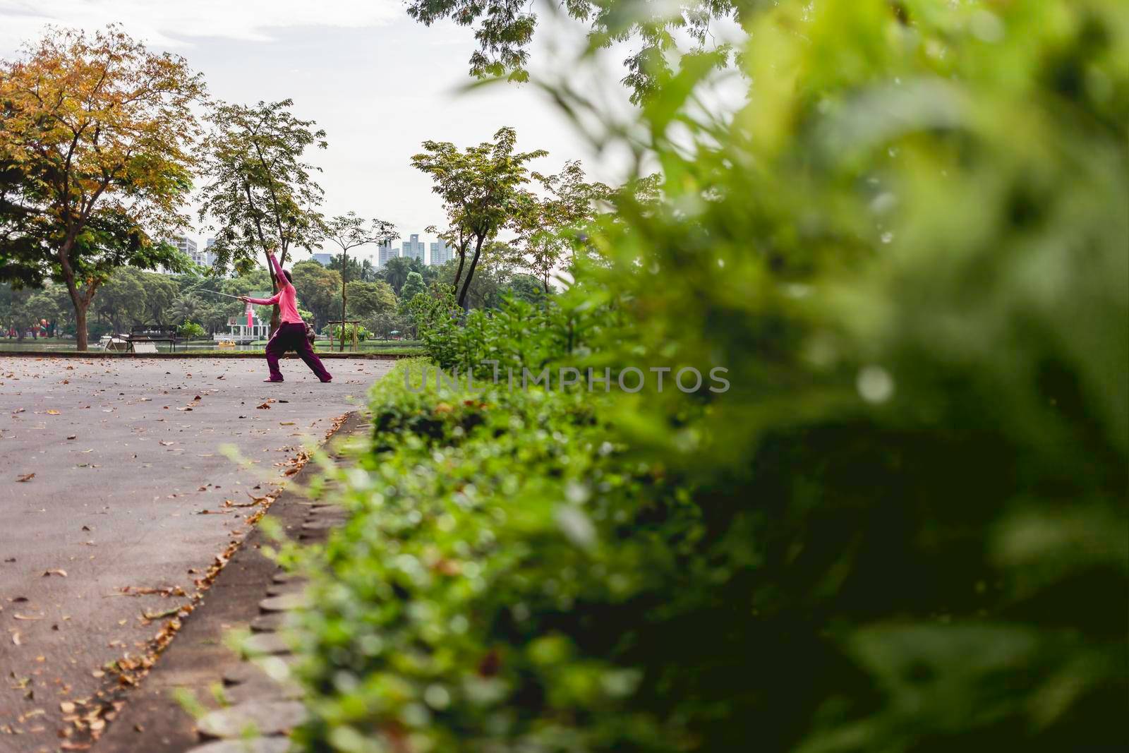 BANGKOK, THAILAND - October 23, 2012. Woman is training with sword in recreation park Lumpini. Traditional asian breathing practices in fresh air. by aksenovko