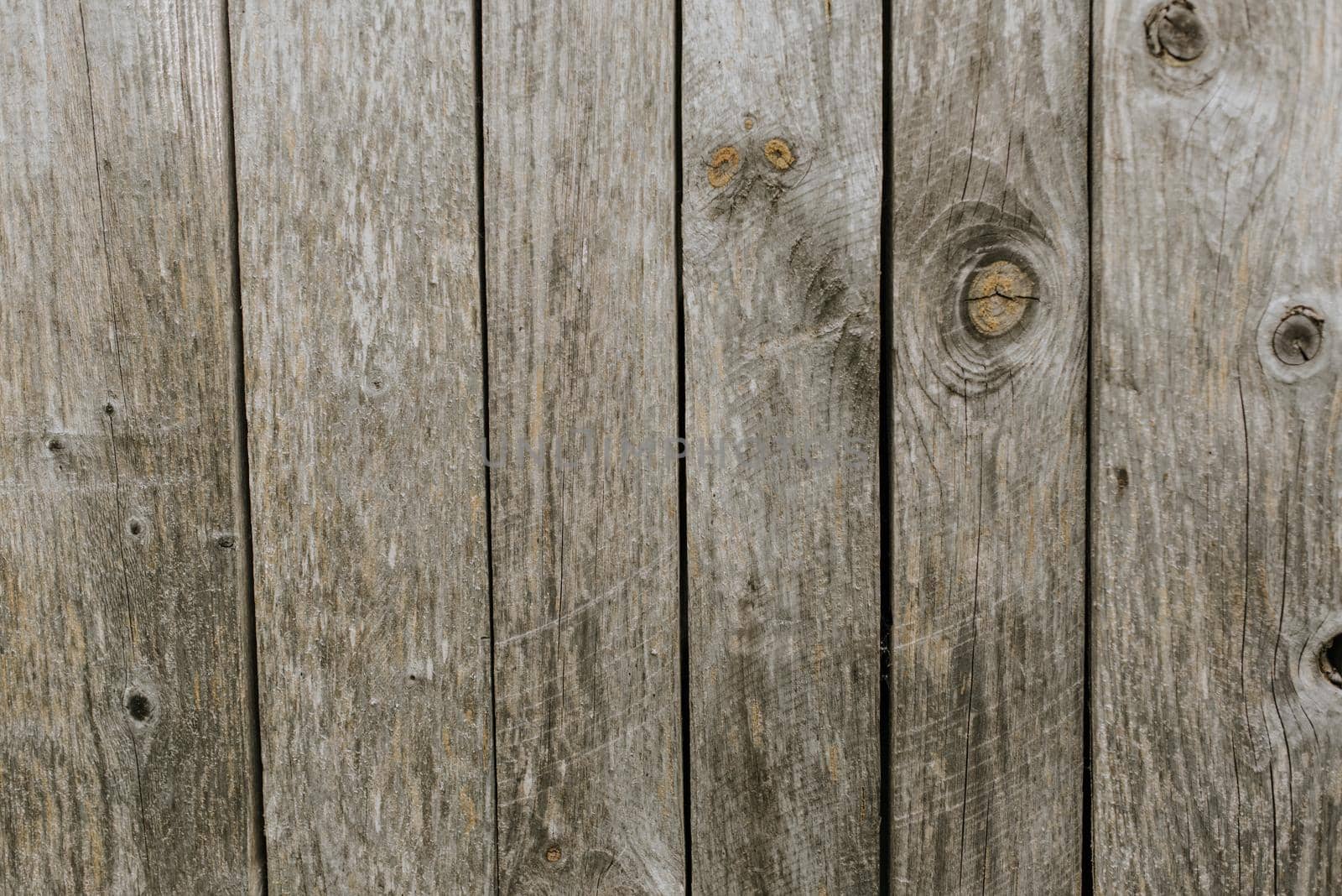 old shabby gray fence made of wooden boards by AndriiDrachuk