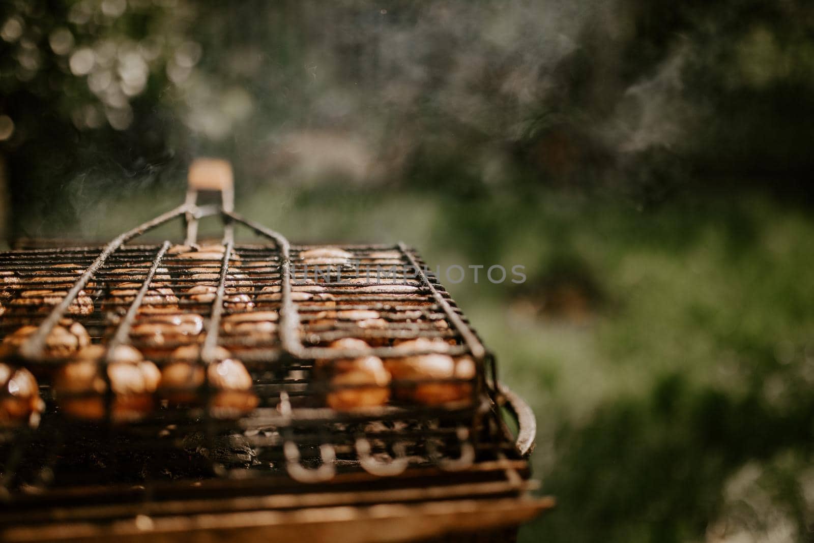 white identical small round mushrooms champignons stacked in even rows in a barbecue on the grill. Green grass background. Summer. White smoke over baked vegetables.