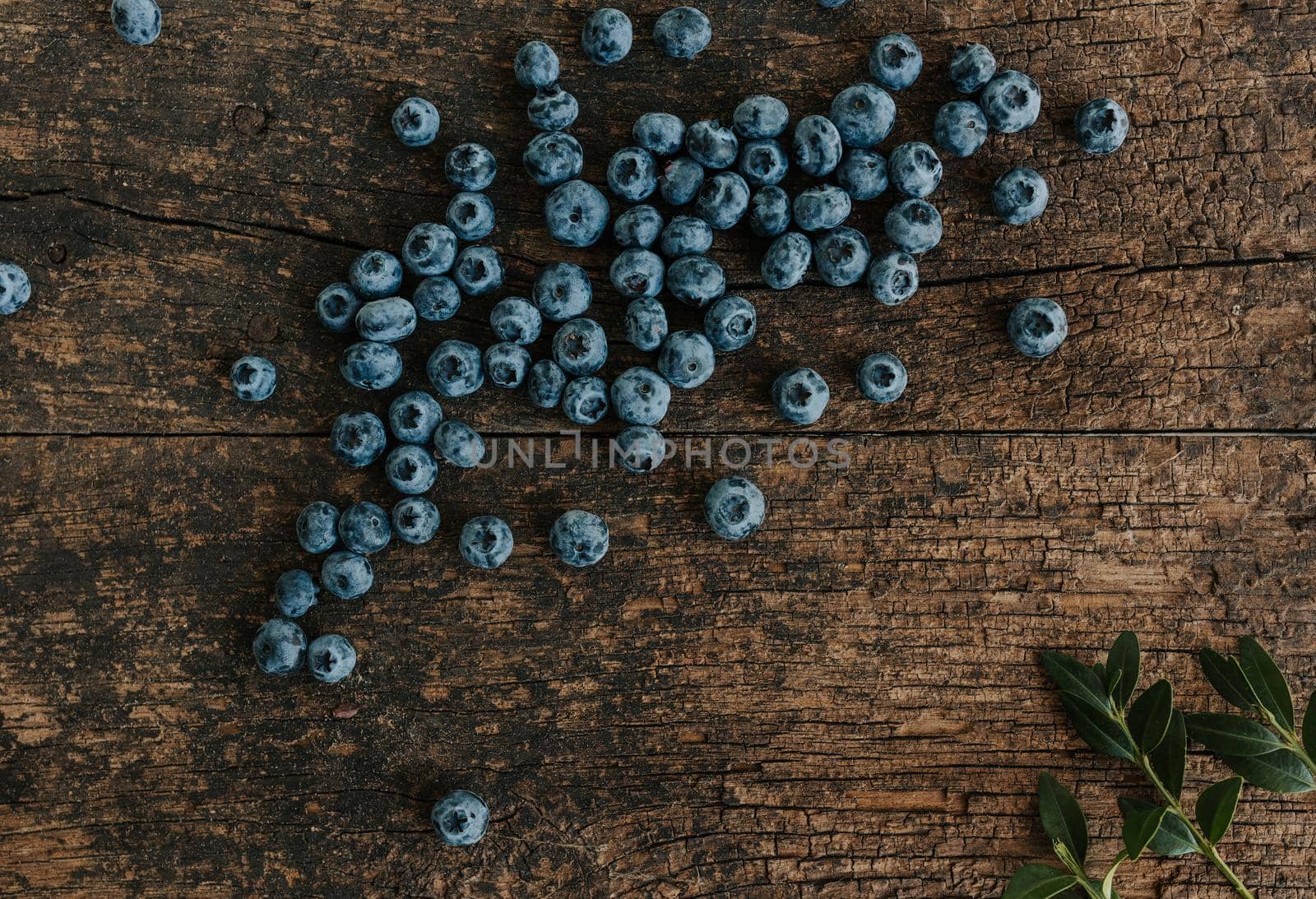 Blue fresh blueberries are scattered on an old brown wooden cracked table.