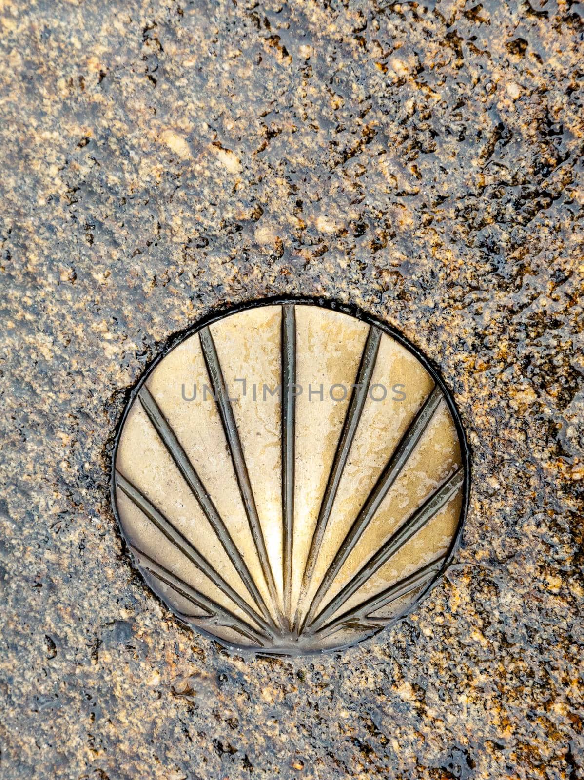 Santiago's shell on the pavement, symbol of Saint James way