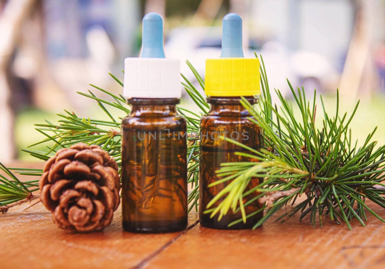 Fir tree essential oil in small bottles. Selective focus.nature