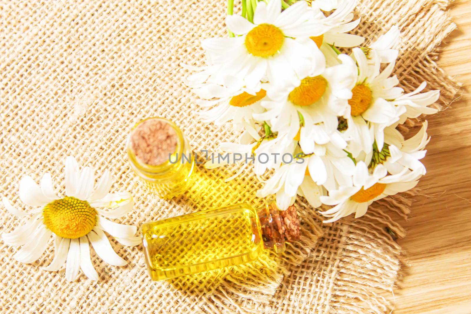 Chamomile essential oil in a small bottle. Selective focus.