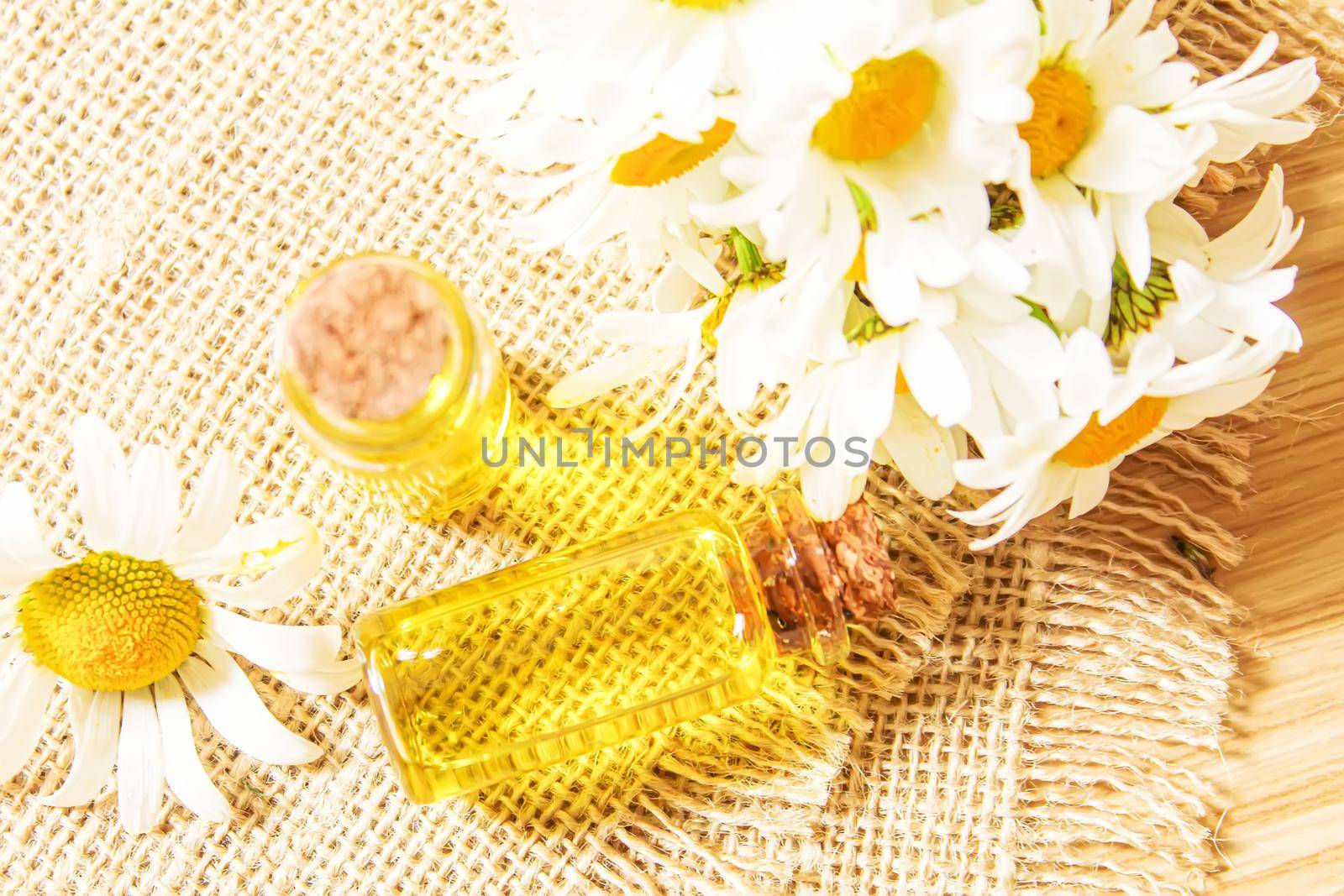 Chamomile essential oil in a small bottle. Selective focus.