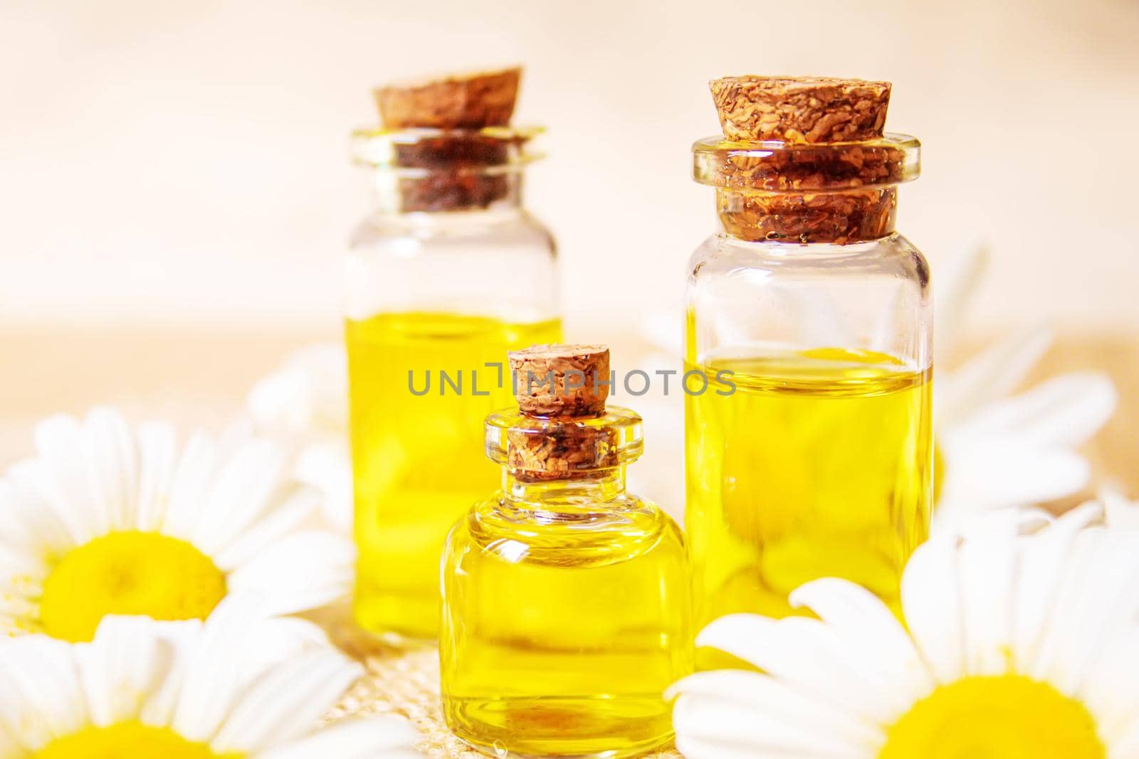 Chamomile essential oil in a small bottle. Selective focus.