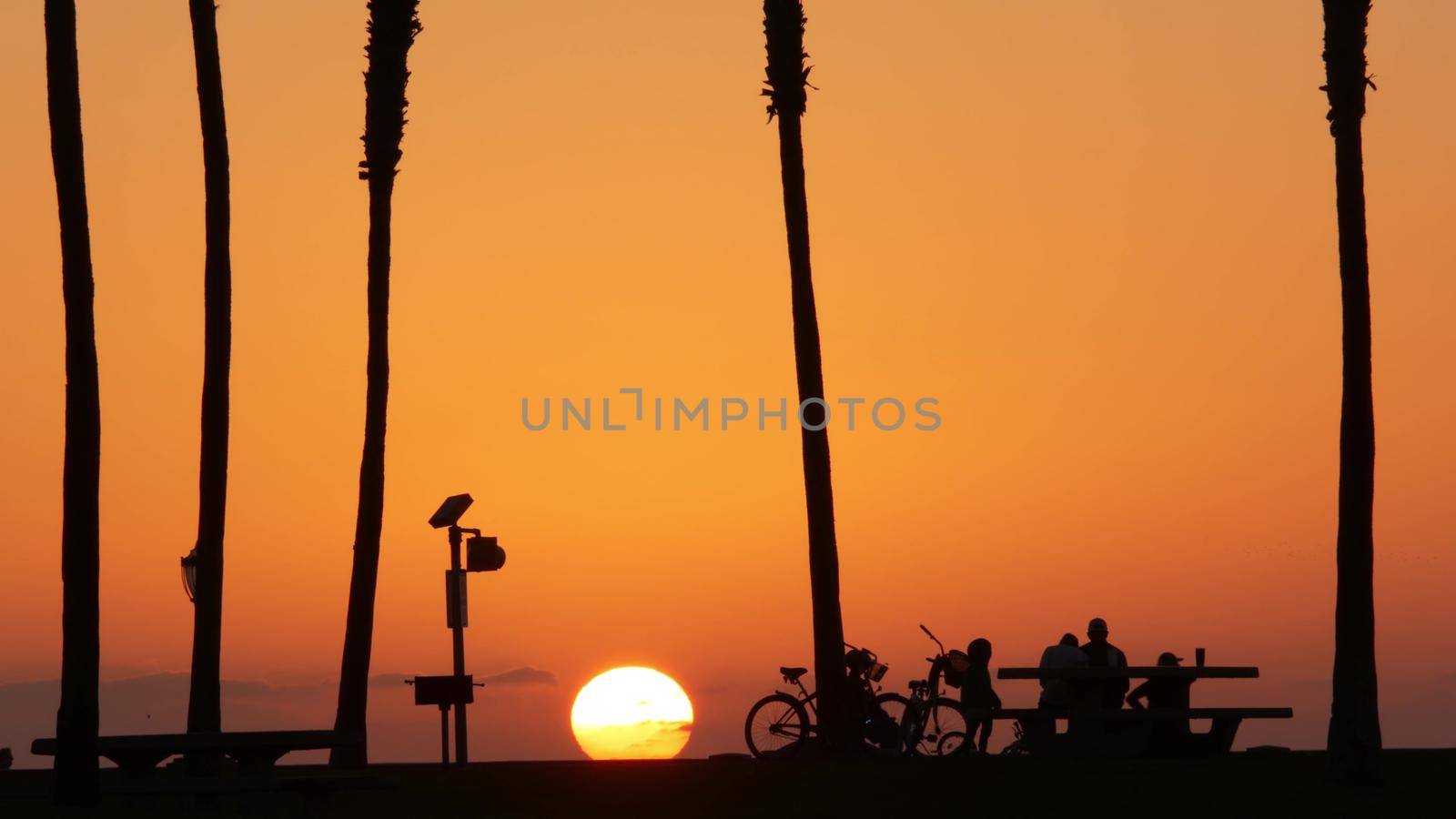 Silhouettes of people and palm trees on beach at sunset, California coast, USA. by DogoraSun