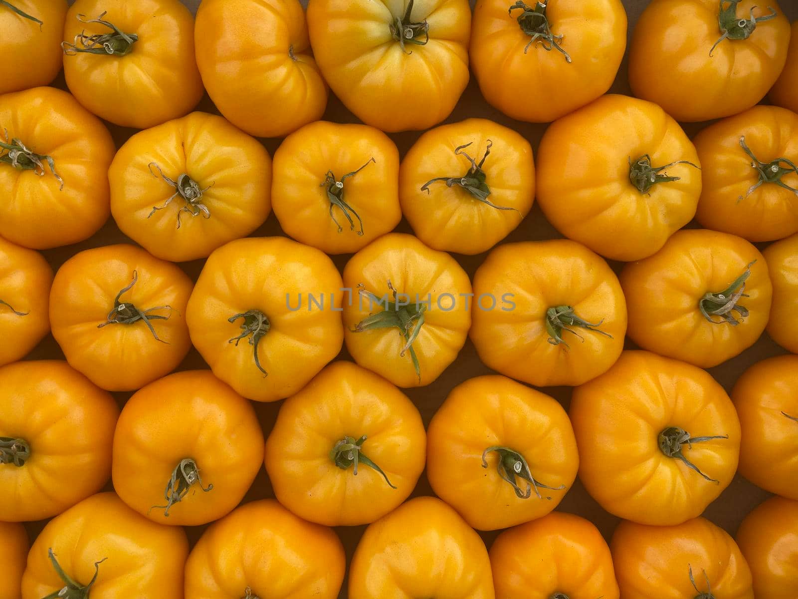 red and yellow tomatoes in boxes at the farmers market.selective focus.nature