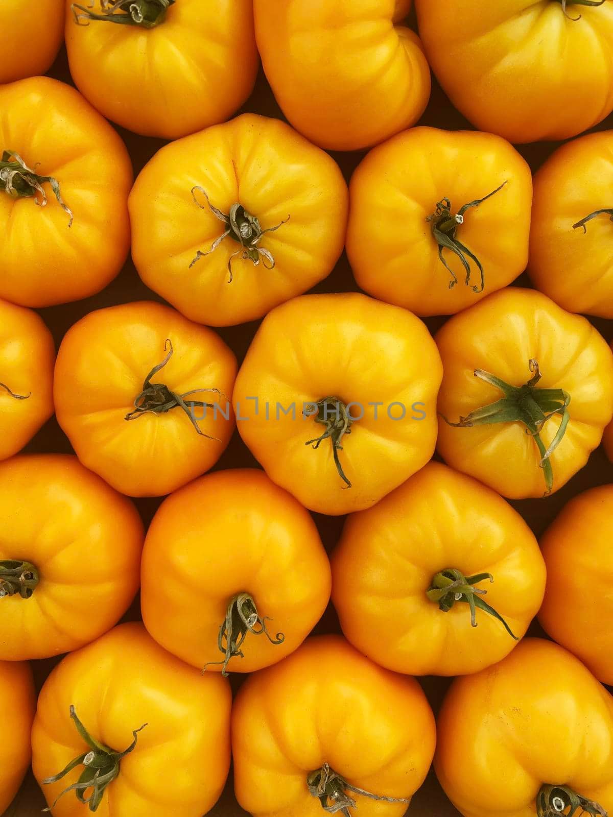 red and yellow tomatoes in boxes at the farmers market.selective focus by mila1784