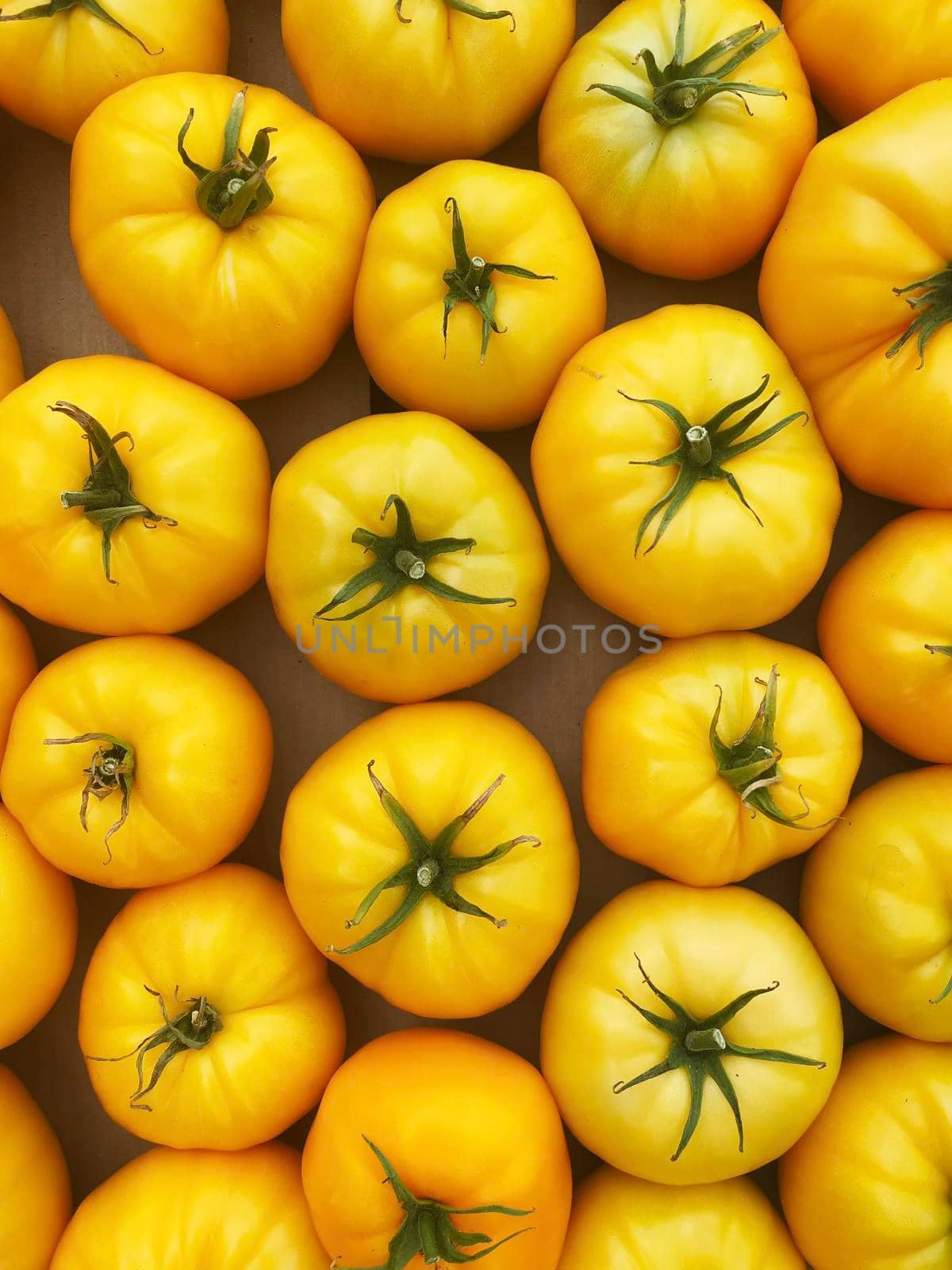 red and yellow tomatoes in boxes at the farmers market.selective focus by mila1784