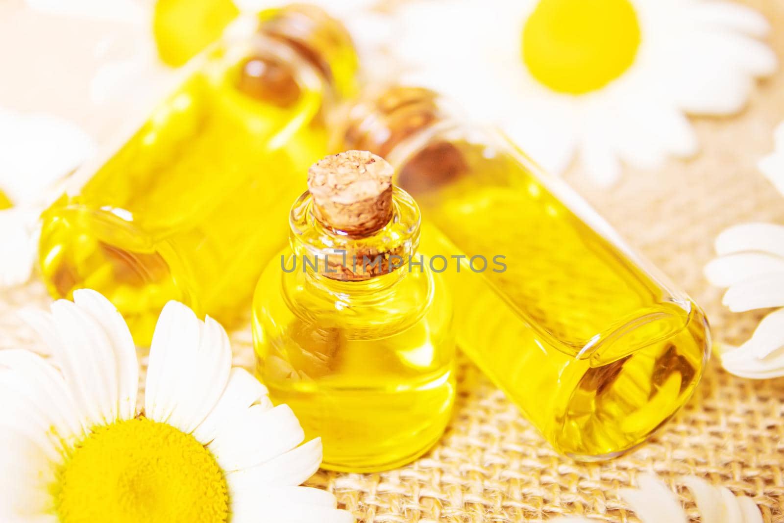 Chamomile essential oil in a small bottle. Selective focus.