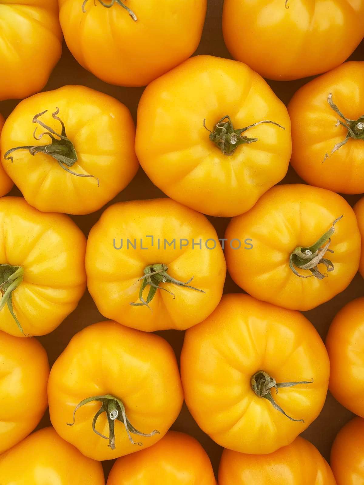 red and yellow tomatoes in boxes at the farmers market.selective focus.nature