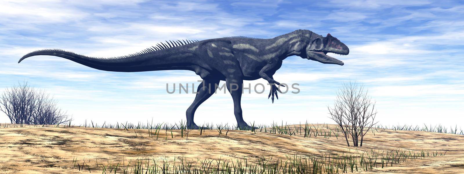 Allosaurus dinosaur in the desert - 3D render by Elenaphotos21