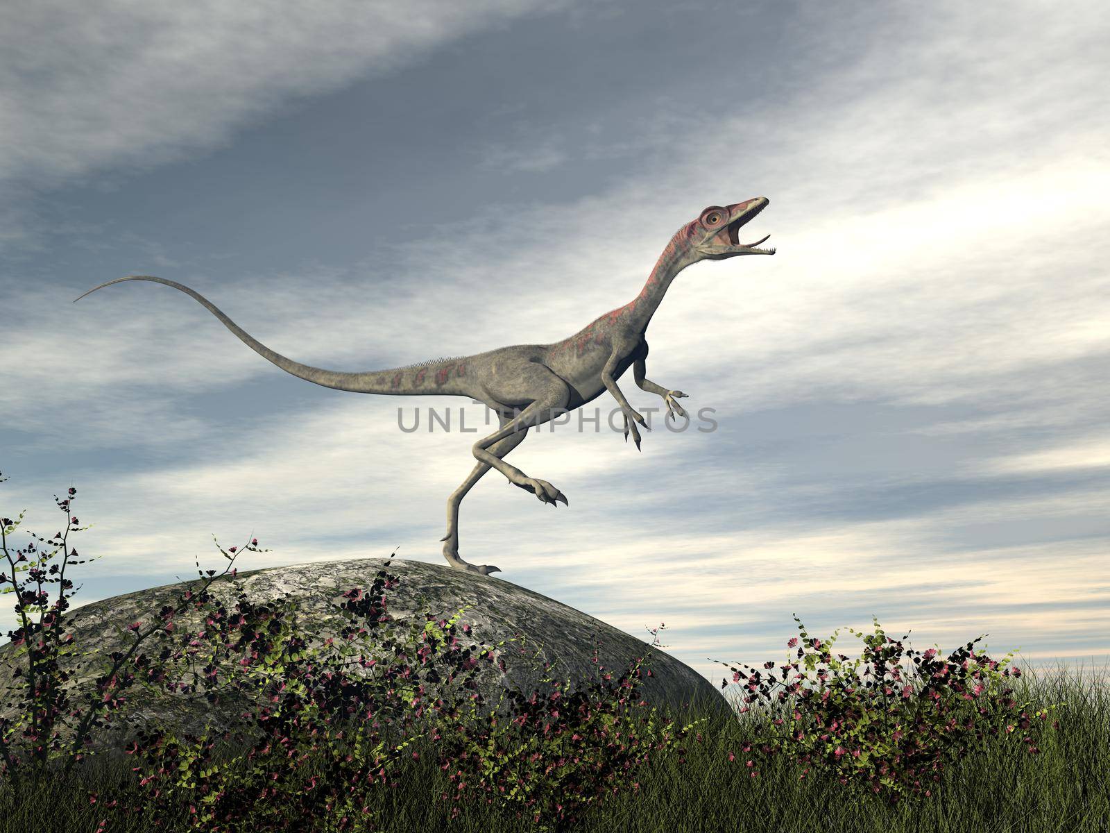 Compsognathus dinosaur standing on a rock - 3D render by Elenaphotos21