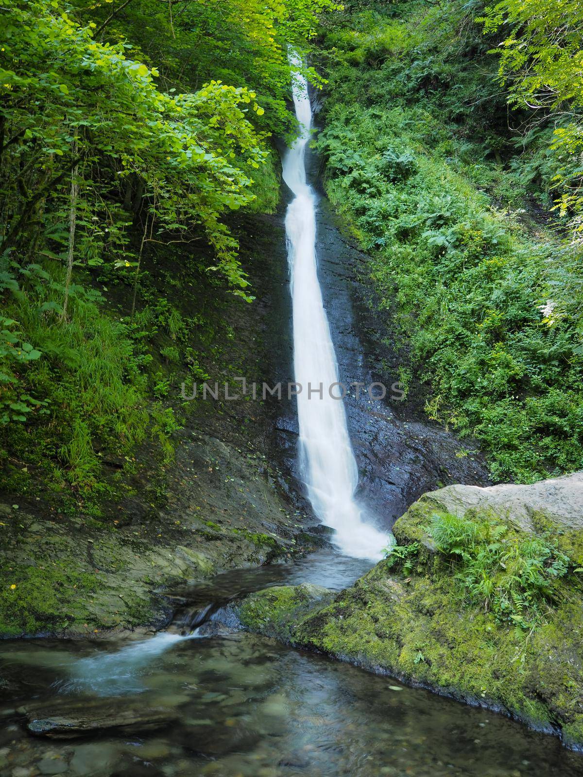 Dramatic waterfall cascading over rocks and through green trees into pool surrounded by moss covered boulders and ferns, Lydford Gorge, Dartmoor National Park, Devon, UK