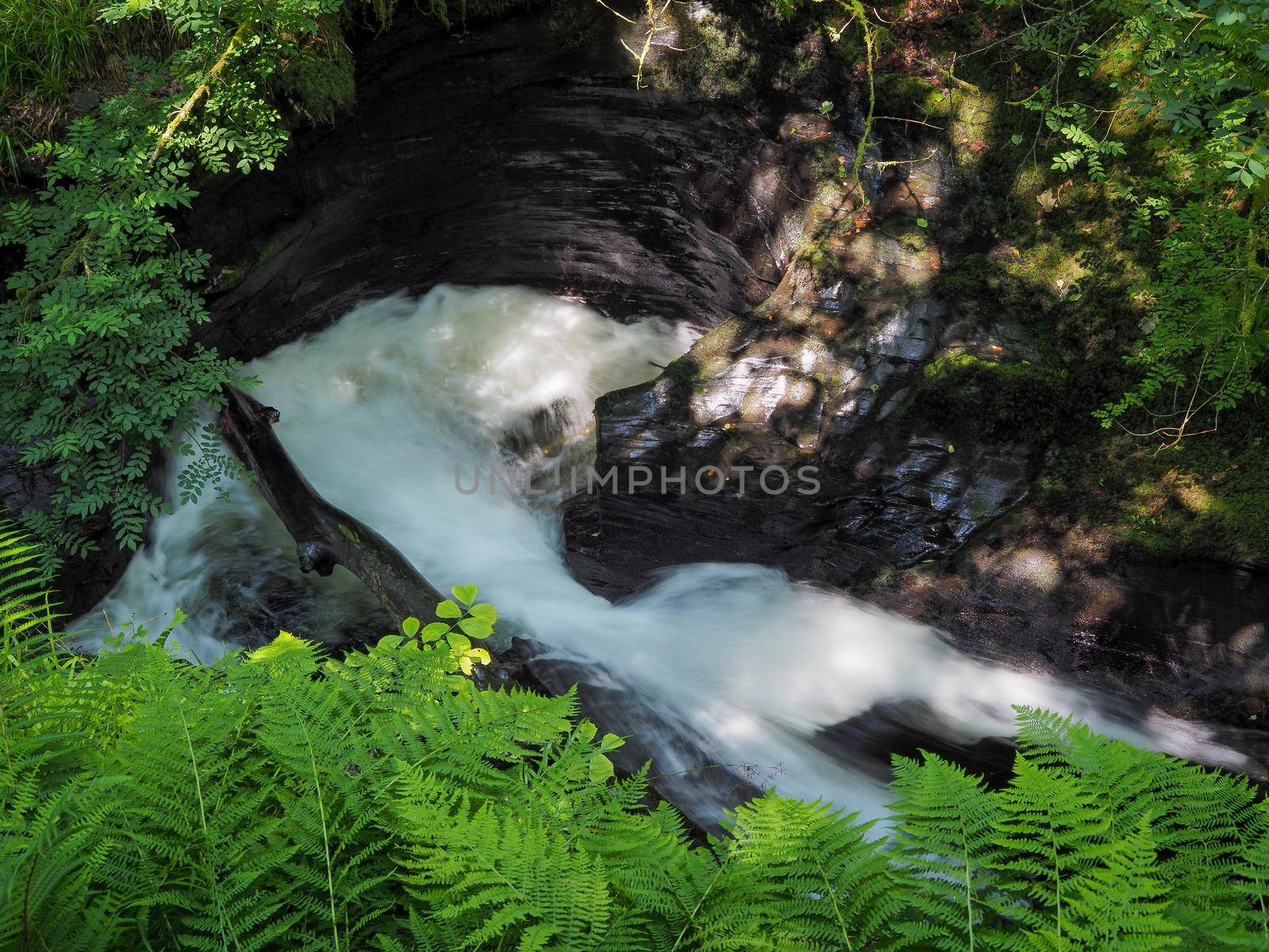 Dramatic river cascades over rocks and through green trees surrounded by moss covered boulders and ferns, Lydford Gorge, Dartmoor National Park, Devon, UK