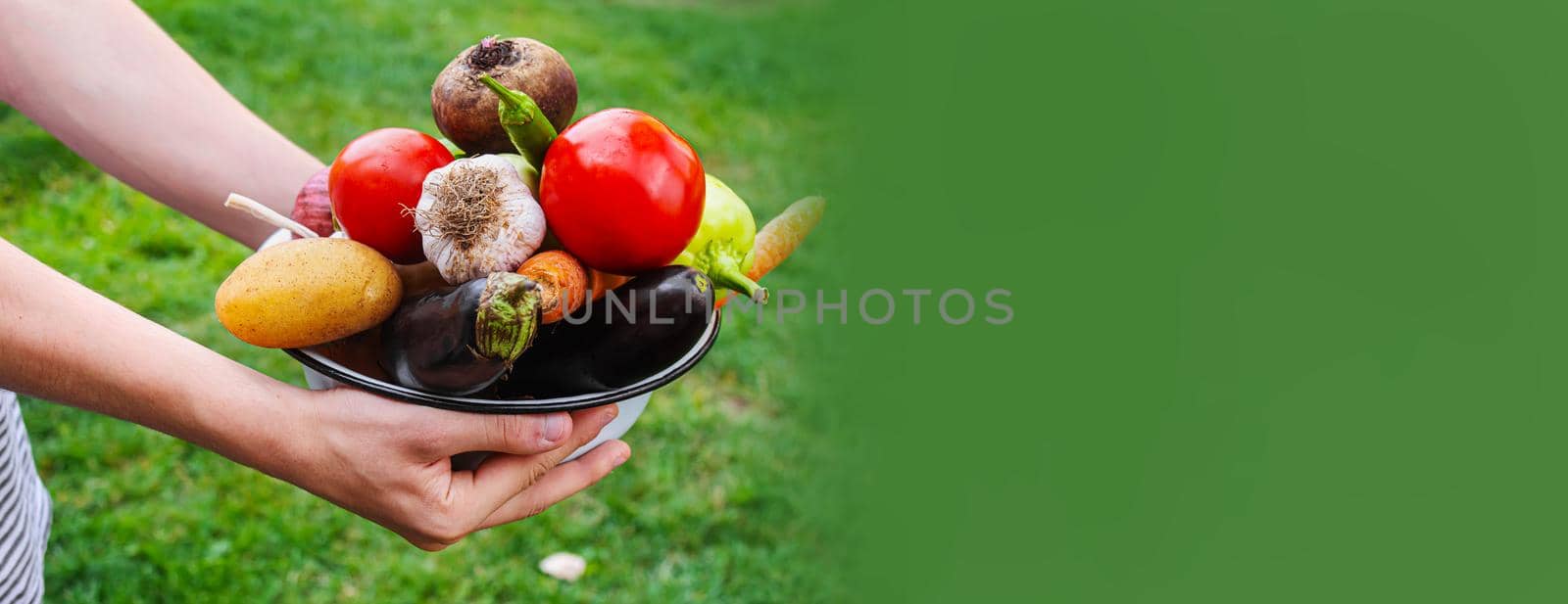 A man in the garden with vegetables in his hands. Selective focus.nature