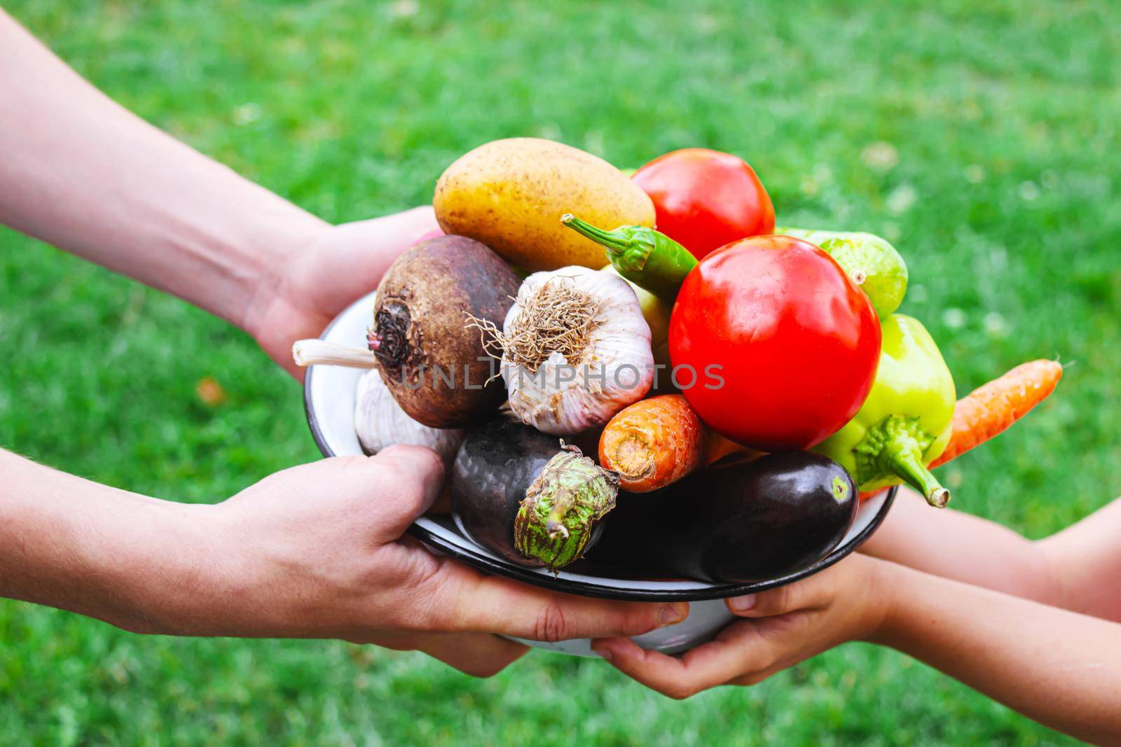 A man farmer and a child are holding a harvest of vegetables in their hands. Selective focus. nature.