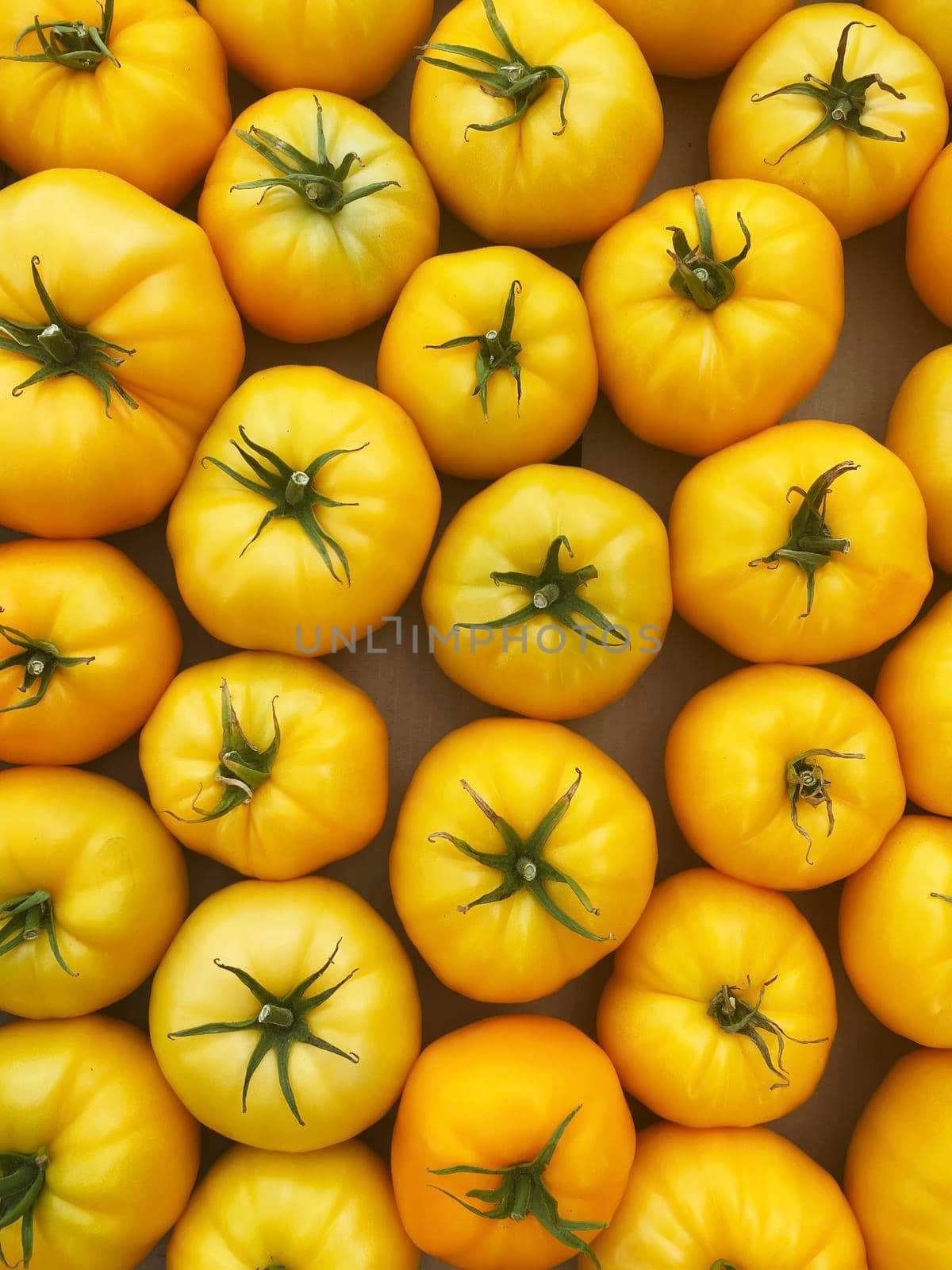 red and yellow tomatoes in boxes at the farmers market.selective focus by mila1784