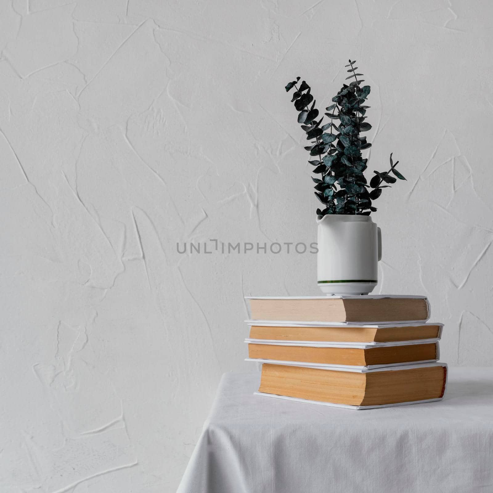 arrangement with books stack plant