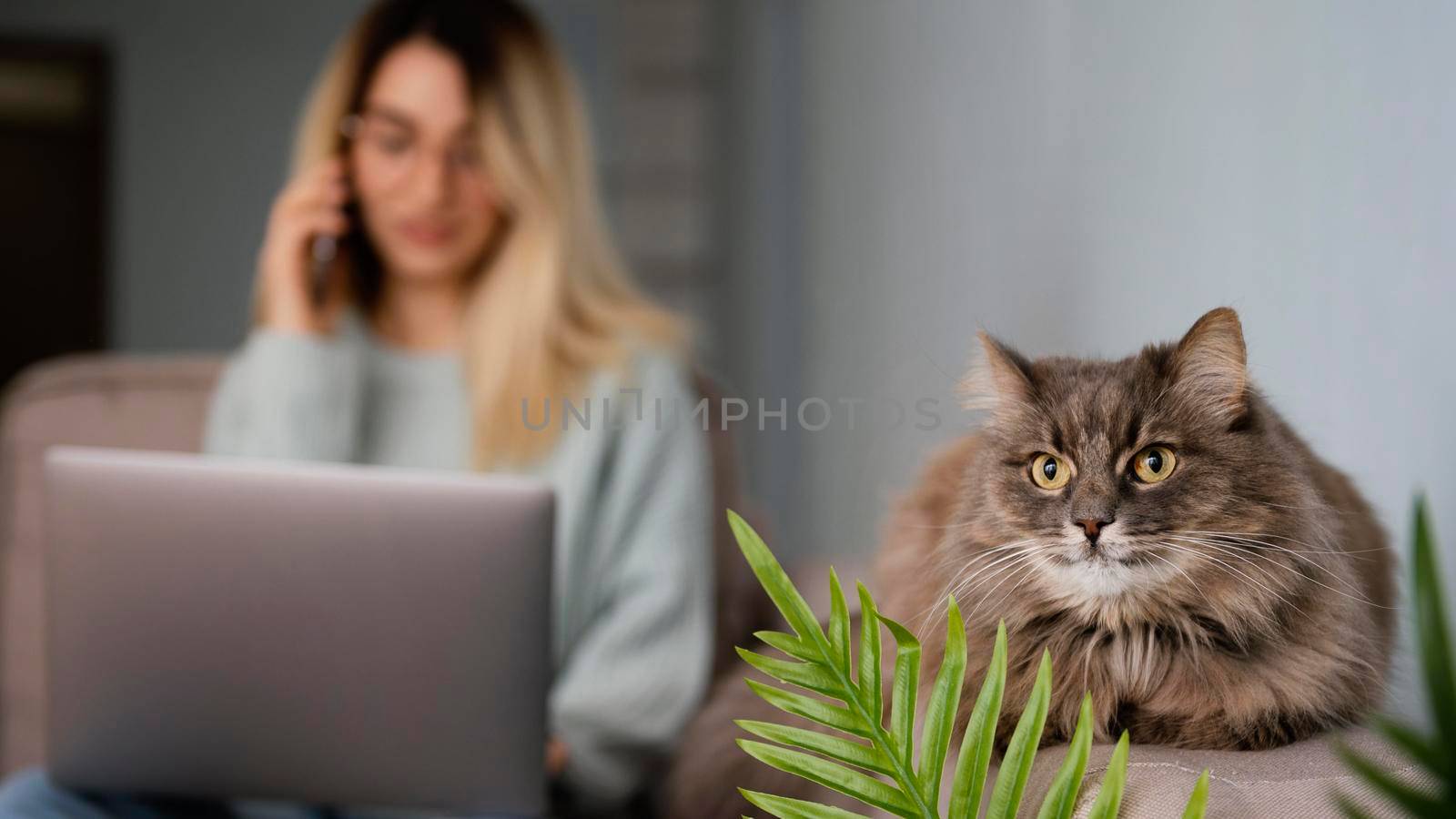 woman sitting indoors with her cat