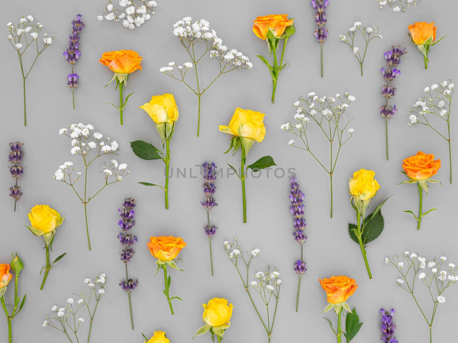 flowers pattern background by Zahard