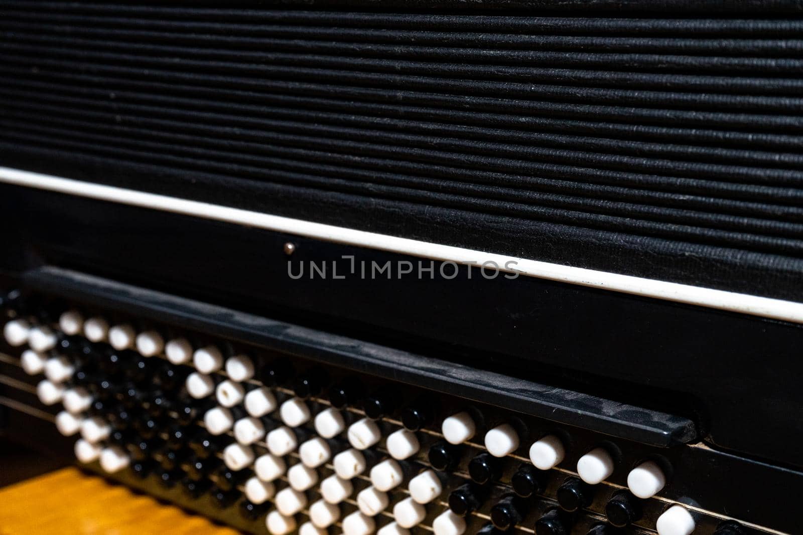 Accordion keys and bellows close up. Music instrument by Serhii_Voroshchuk