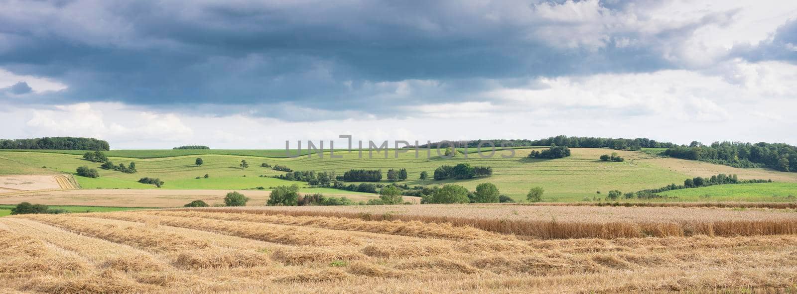 cloudy sky over summer countryside landscape with green meadows and corn fields in french ardennes near charleville