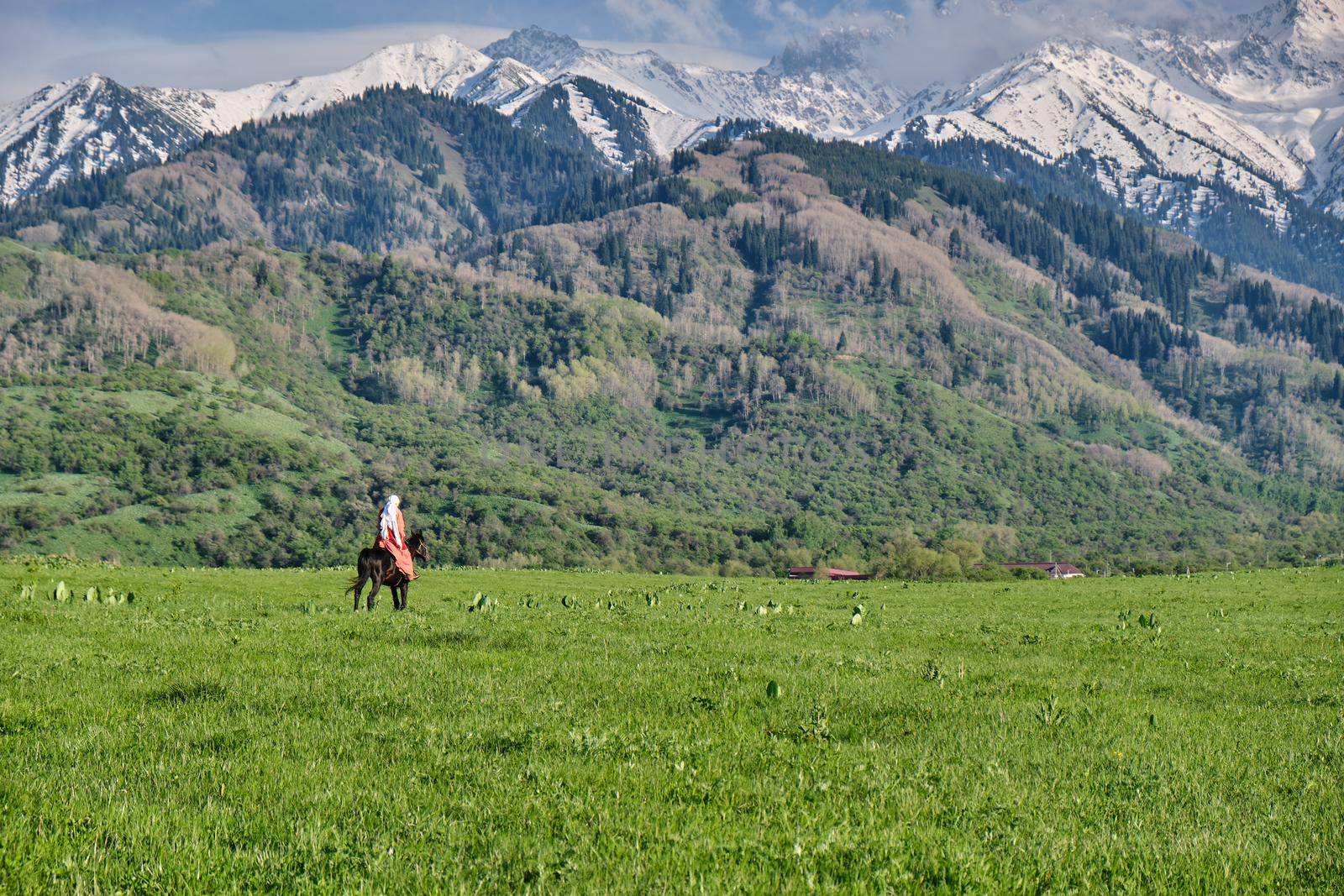 Kazakh girl in traditional dress on horseback by snep_photo