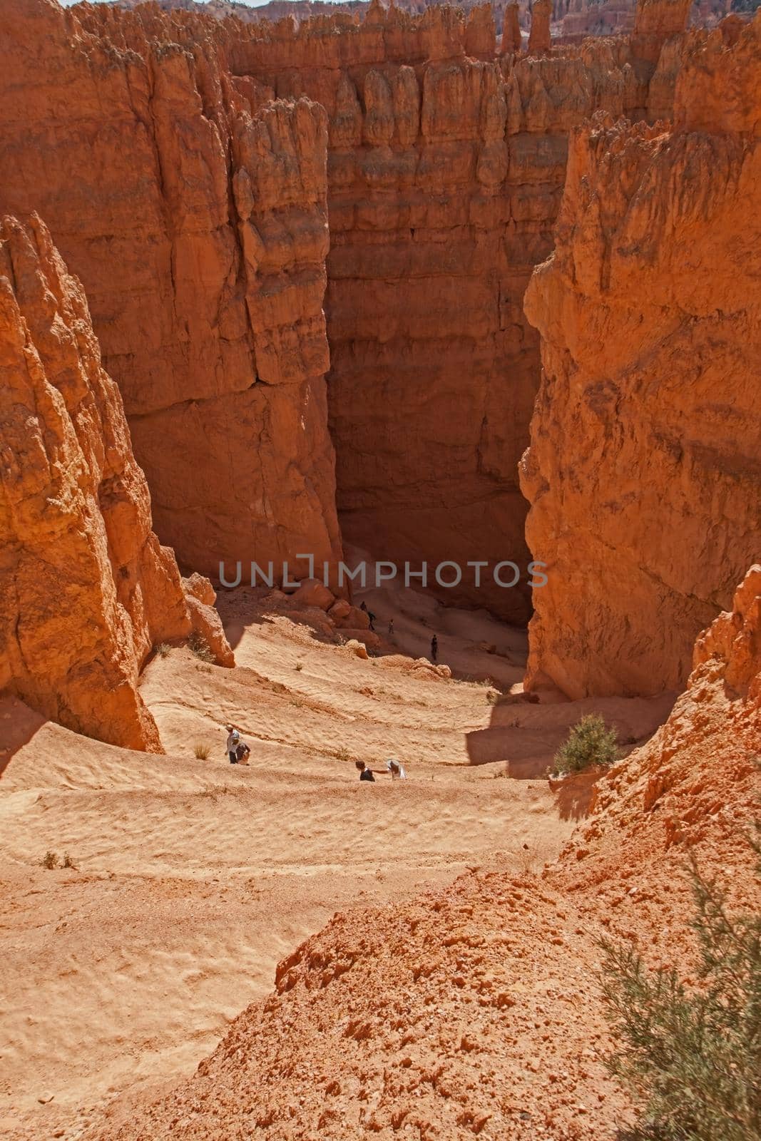 Hikers on the Switchbacks on the Navajo Trail 2483 by kobus_peche