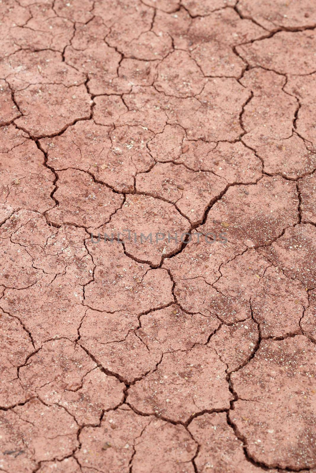 close-up of dry dracked soil ground texture