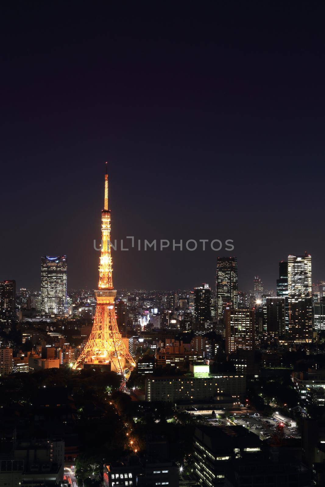 Tokyo cityscape at night, Japan by geargodz