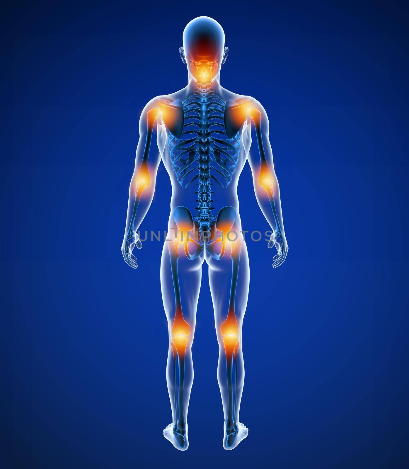 3d Illustration of front male joint pain.