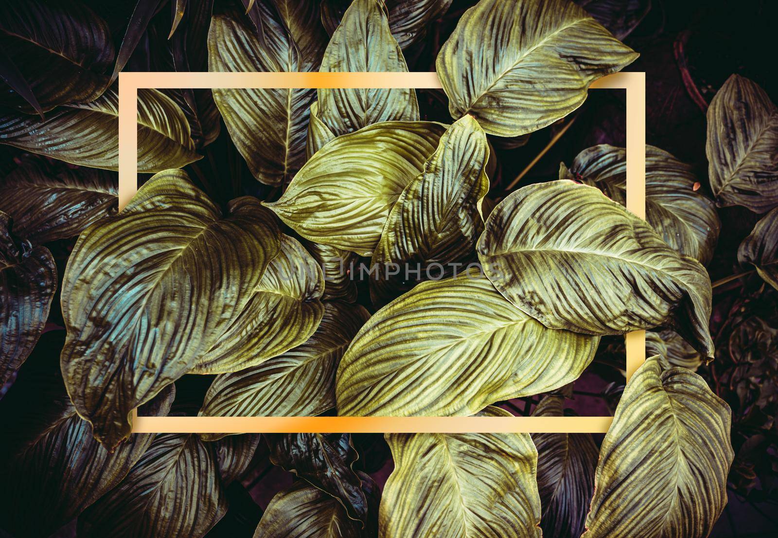 Golden frame on dark green leaves background. 3D illustration