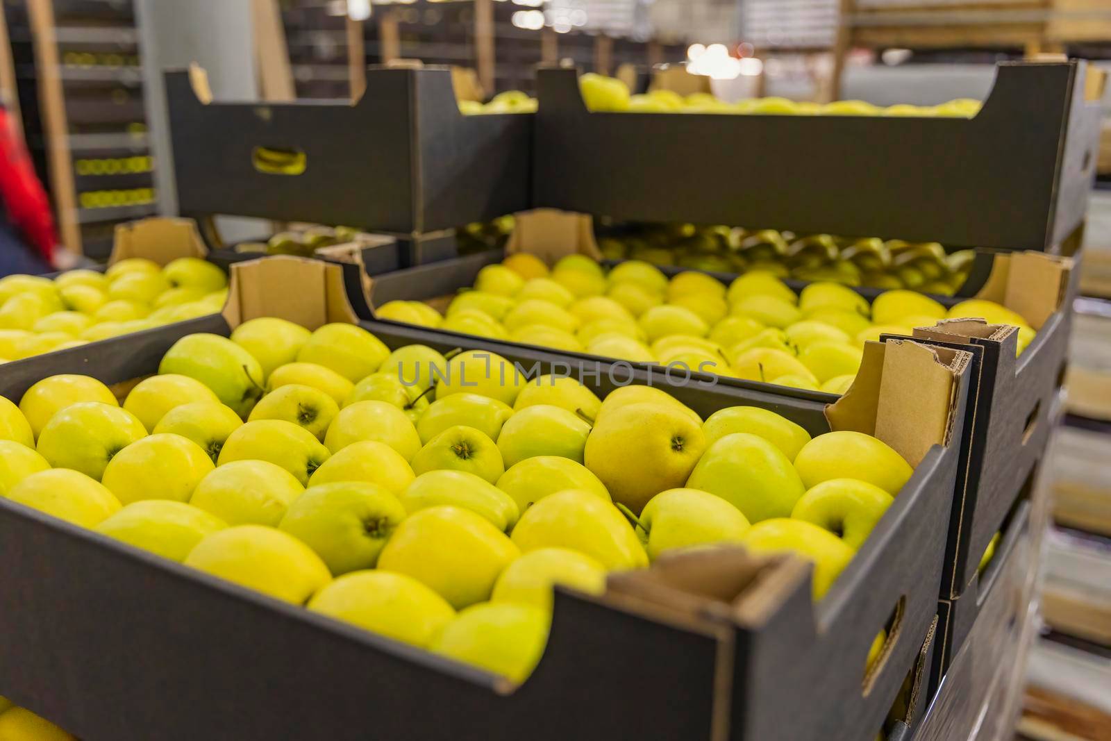 yellow apples packed in cardboard boxes close-up