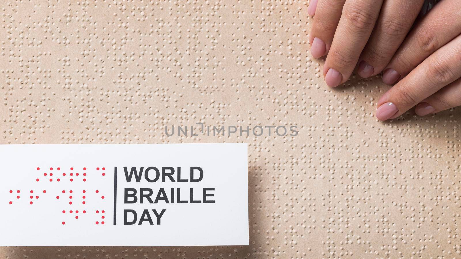 world braille day arrangement view