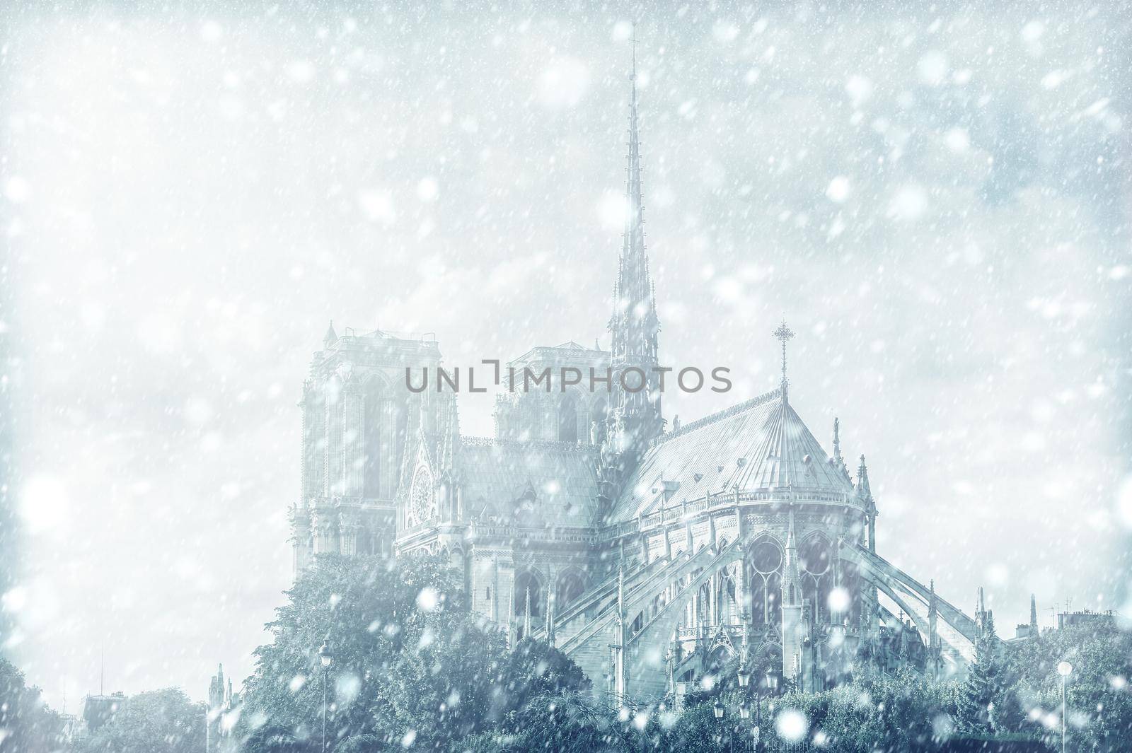 View of Notre Dame de Paris, France with snow